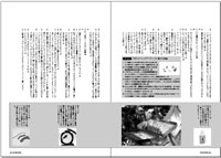 フライの雑誌第67号-15 フライの雑誌第67号-15