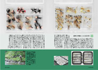 フライの雑誌第67号-17 フライの雑誌第67号-17