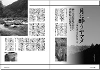フライの雑誌第67号-18 フライの雑誌第67号-18