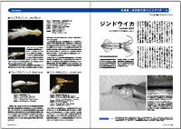 フライの雑誌第79号-04 フライの雑誌第79号-04