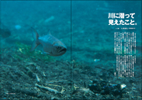 フライの雑誌第85号-04 フライの雑誌第85号-04