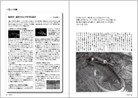 フライの雑誌第85号-06 フライの雑誌第85号-06