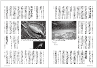 フライの雑誌第90号-11 フライの雑誌第90号-11
