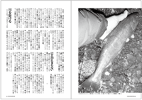 フライの雑誌第90号-12 フライの雑誌第90号-12