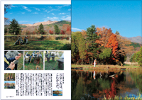 フライの雑誌第95号-12 フライの雑誌第95号-11