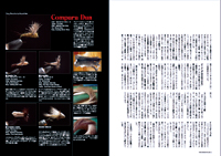 フライの雑誌第96号-01 フライの雑誌第96号-01