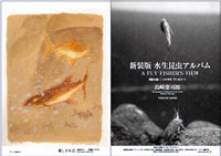 フライの雑誌第96号-07 フライの雑誌第96号-07