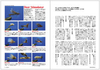フライの雑誌第97号-01 フライの雑誌第97号-01