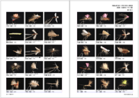 フライの雑誌第100号-07