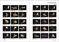 フライの雑誌第100号-08