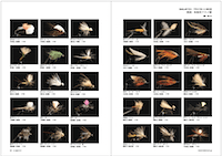 フライの雑誌第100号-082