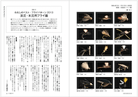 フライの雑誌第100号-083